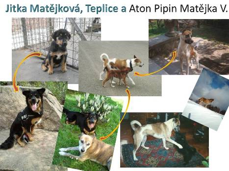 JITKA MATĚJKOVÁ: ATON