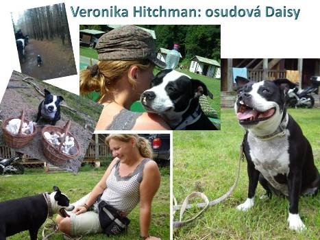 VERONIKA HITCHMAN: OSUDOVÁ DAISY
