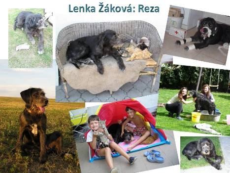 LENKA ŽÁKOVÁ: REZA