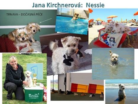 JANA KIRCHNEROVÁ: NESSIE