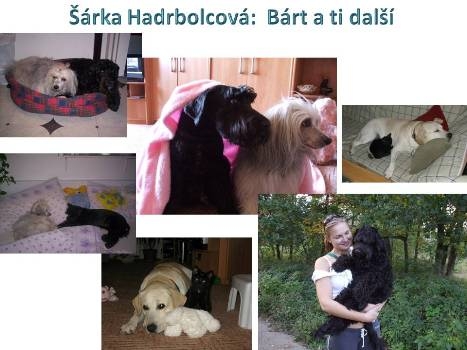 ŠÁRKA HADRBOLCOVÁ