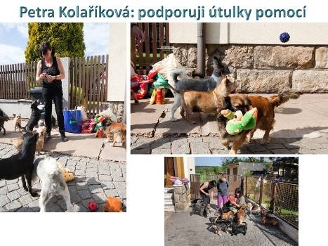 PETRA KOLAŘÍKOVÁ