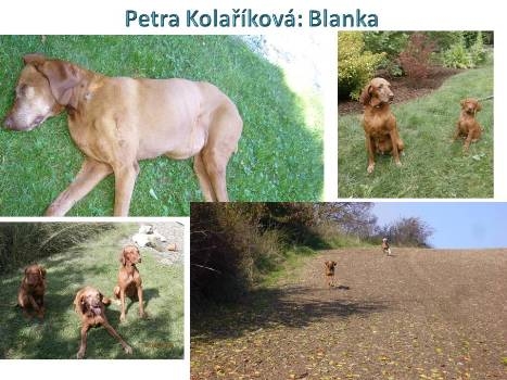 PETRA KOLAŘÍKOVÁ a Blanka