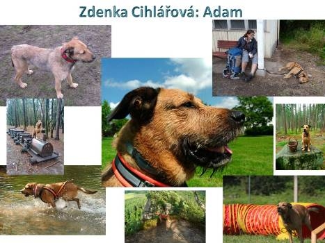 ZDENKA CIHLÁŘOVÁ A ADAM