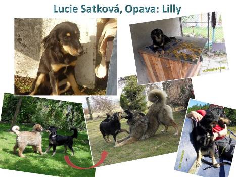 LUCIE SATKOVÁ: LILLY